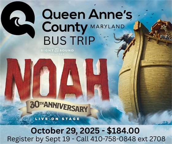 picture of a ship with animals on it, the letter NOAH, 30th Anniversary are in front of the boat.