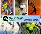 Picture of basketball, pickleball, futsal, dog and tennis