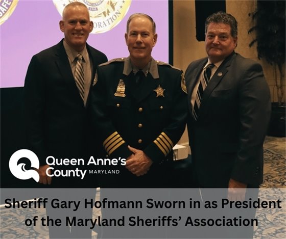 3 men standing in a line