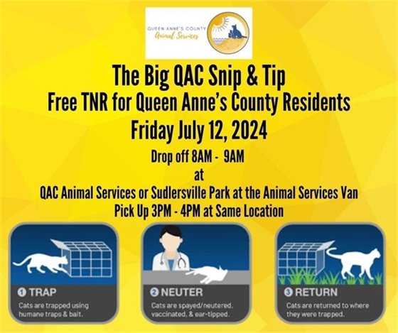 picture explaining trap neuter and release for community cats