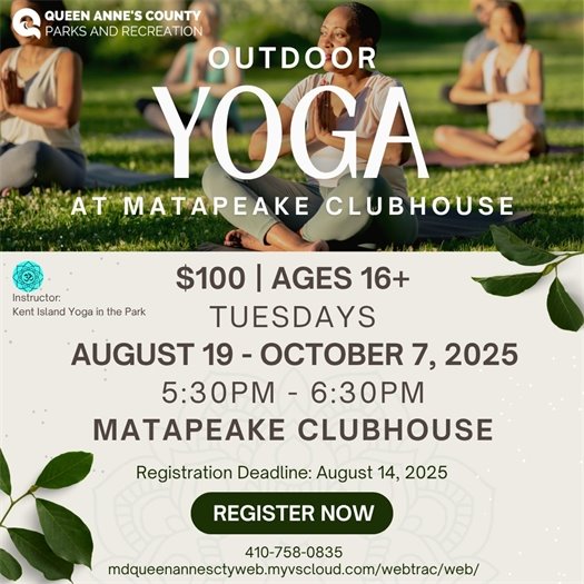 women practicing yoga in the grass