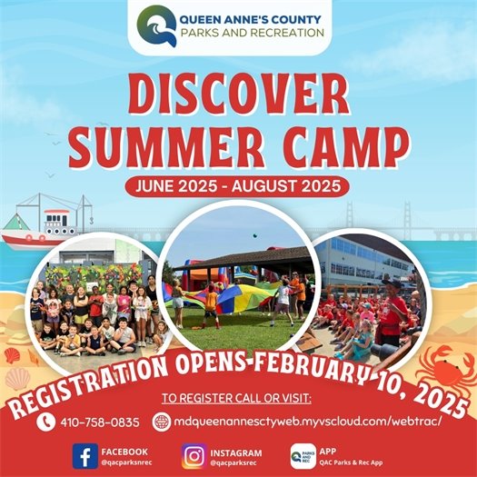 picture of beach and crab