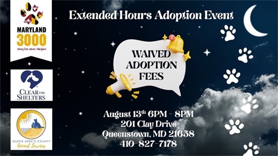 nighttime sky and moon