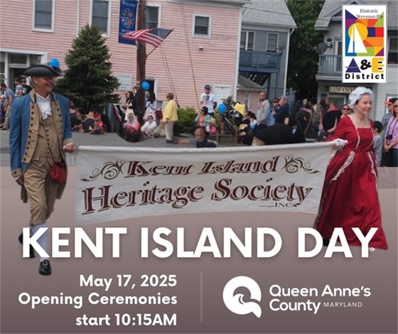 parade in downtown stevensville