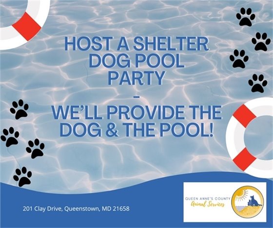 pool water with a floatie