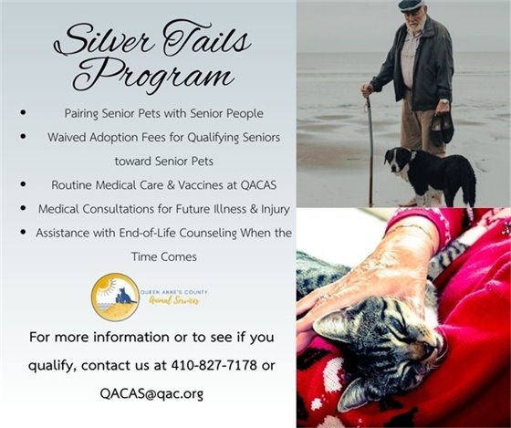 picture of a senior walking a dog and picture of a person holding a cat