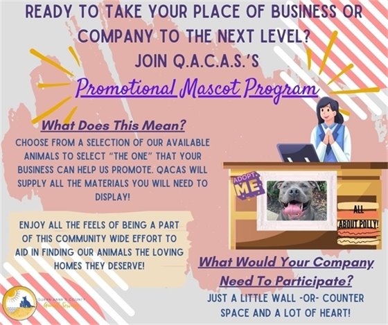 pink and white background with blue writing