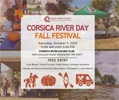 pictures of festivals