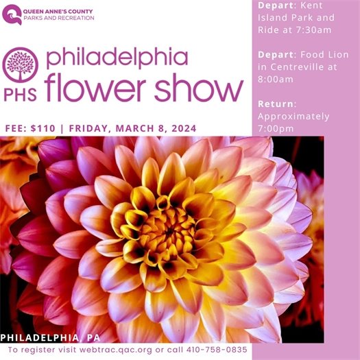 pink background with flower 