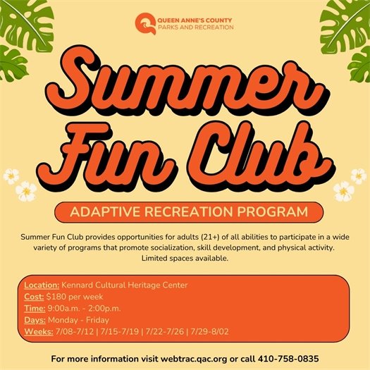 yellow background with words that say summer fun club
