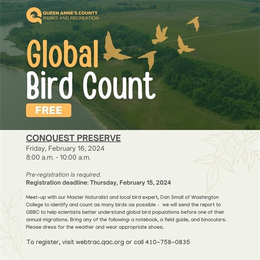Conquest Preserve picture with birds