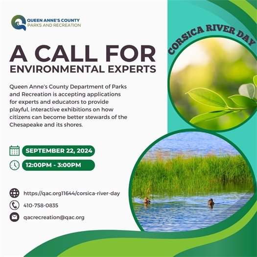 pictures of the water on the corsica river and a branch from a tree with green leaves