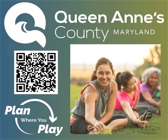 picture of people stretching in grass