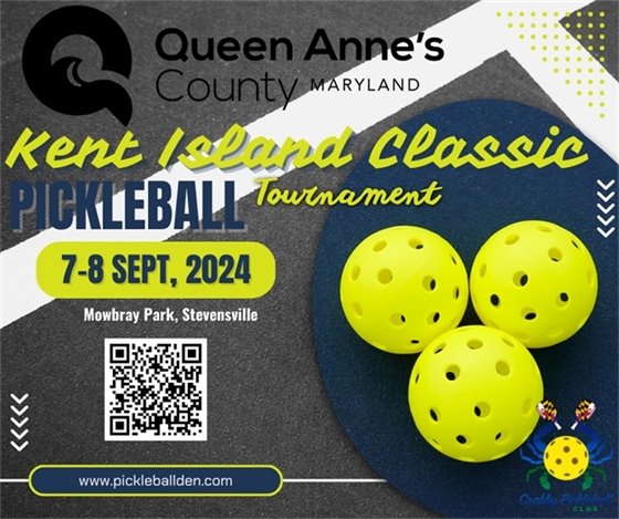 picture of pickleball paddles and balls