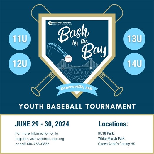 Blue background with the bay bridge, baseballs and bats