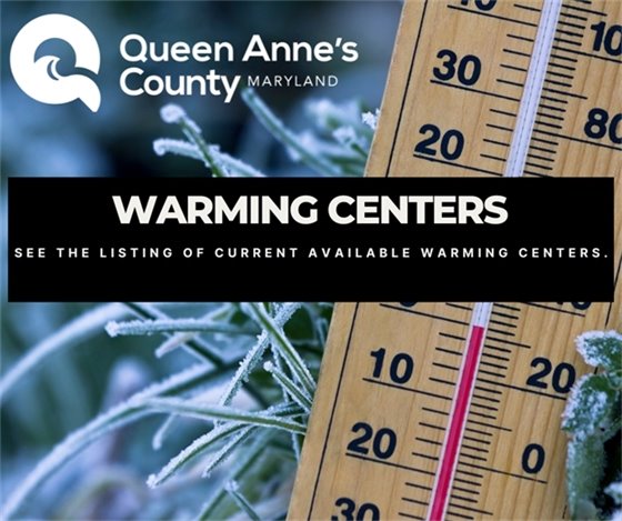 thermometer in front of frozen branches