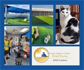 picture of a cat and two dogs, volunteers and the new dog play area at the shelter