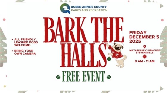 pug wearing a sweater with christmas images