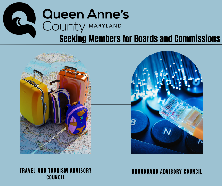 Boards and Commissions