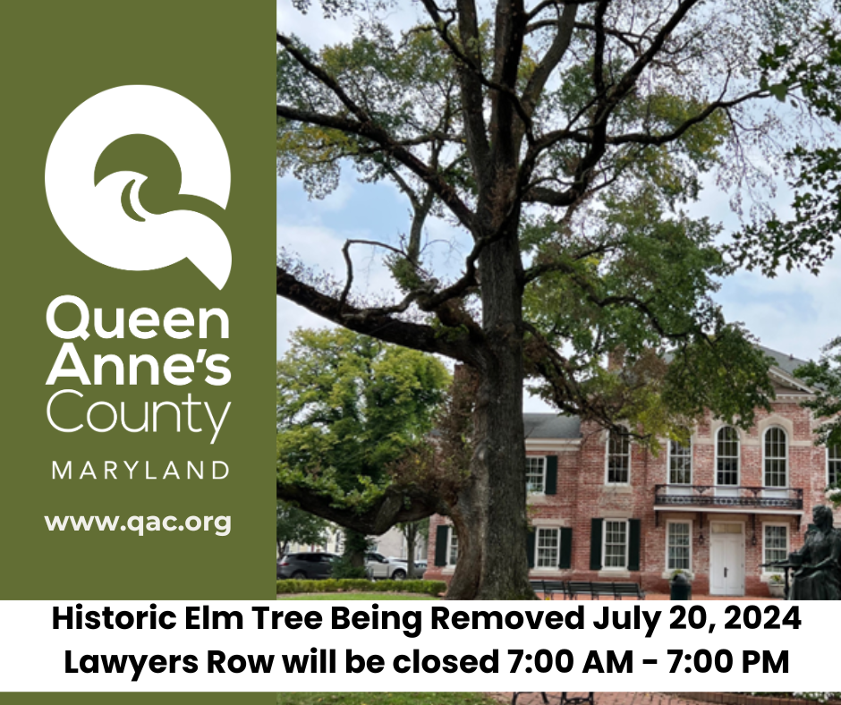 Copy of www.qac.org (3)