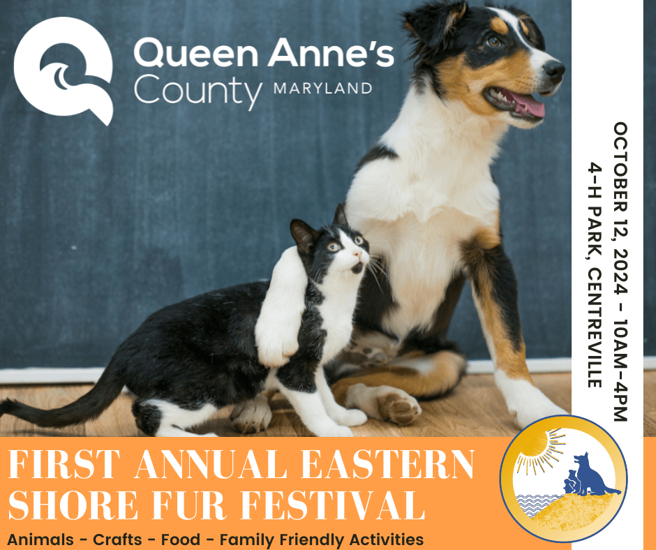 Eastern Shore Fur festival