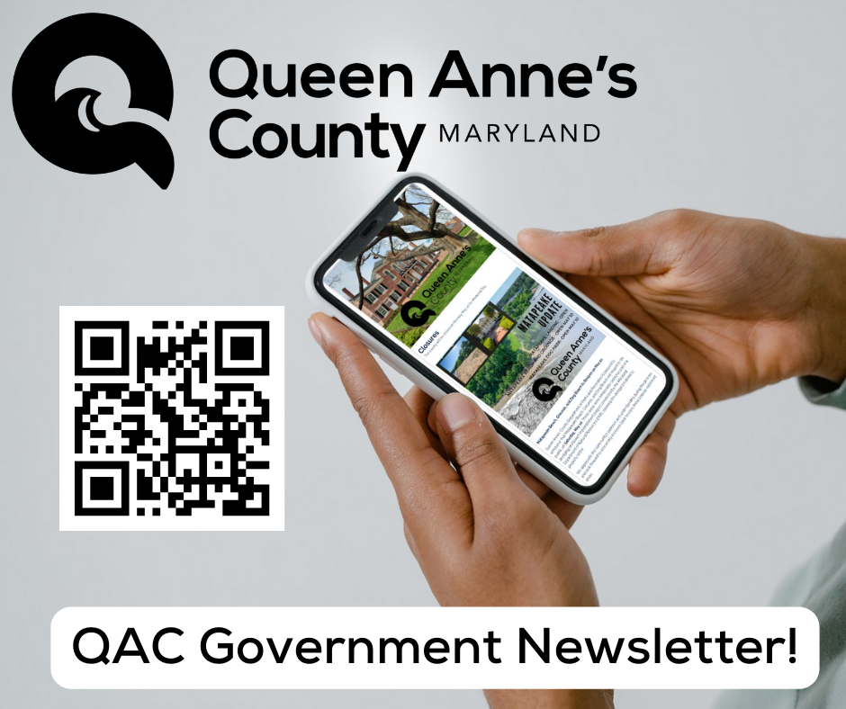 QAC Government Newsletter!