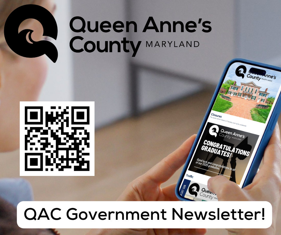 QAC Government Newsletter! (1)