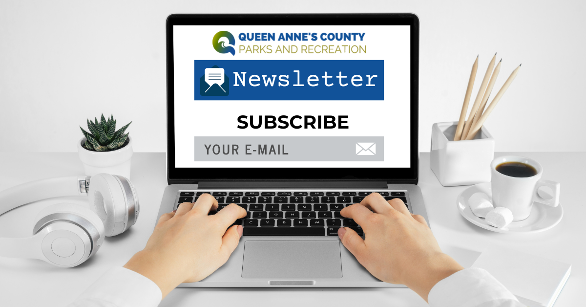 Newsletter Website Banner