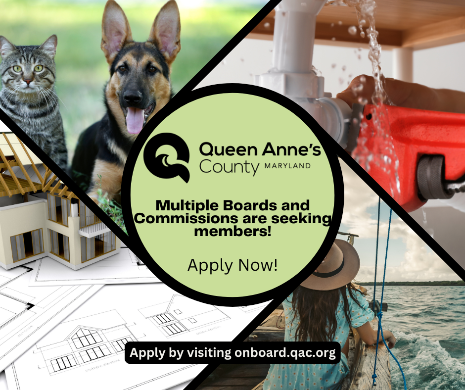 Copy of Copy of Copy of Board Vacancies