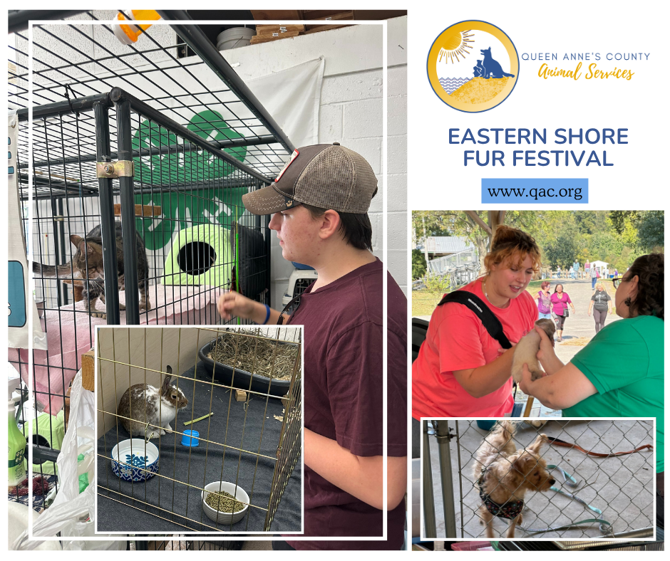 discover our new products