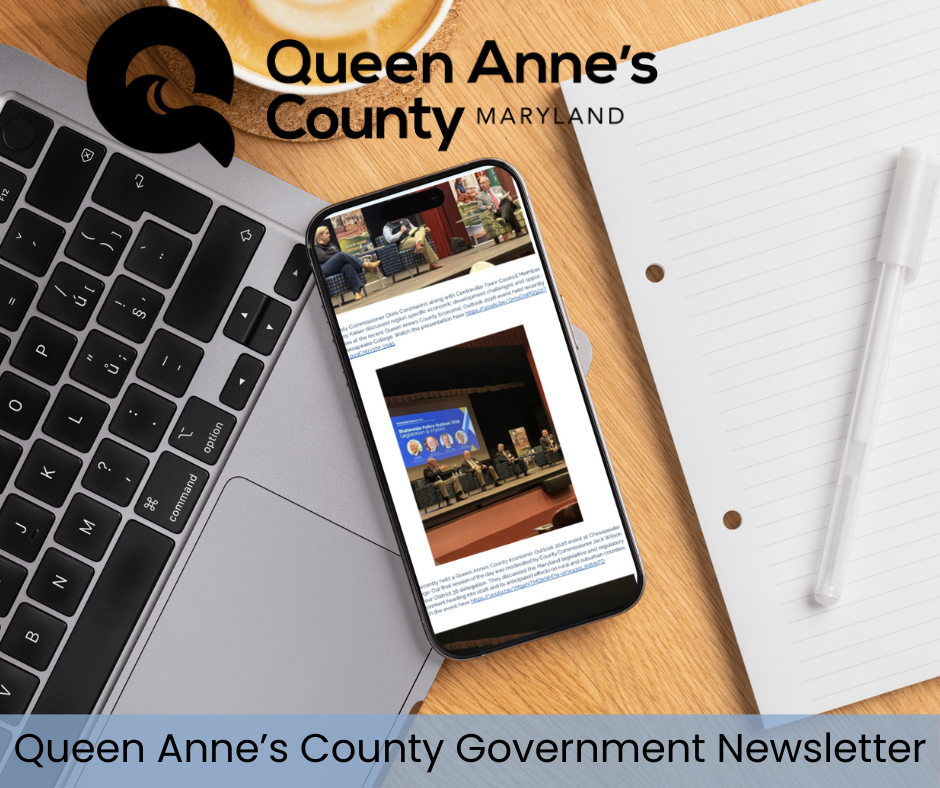 County Government Newsletter (4)