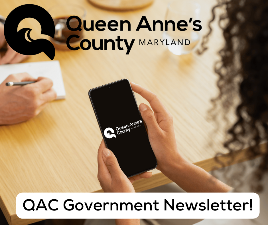 Copy of QAC Government Newsletter! (3)