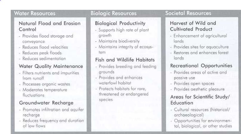 natural and beneficial functions of flood zone